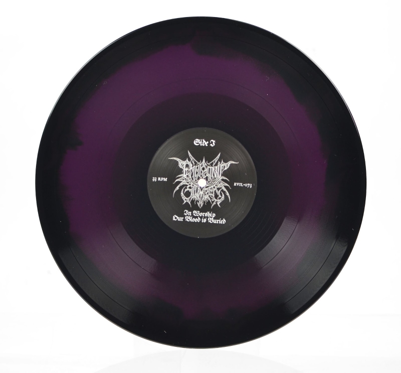 Embryonic Slumber - In Worship Our Blood Is Buried - LP