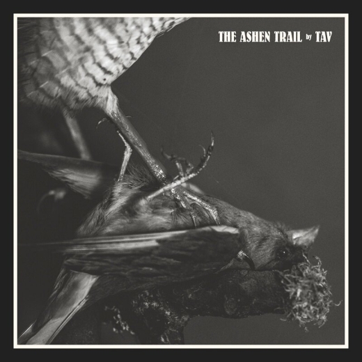 TAV - The Ashen Trail - lim. Digipak CD