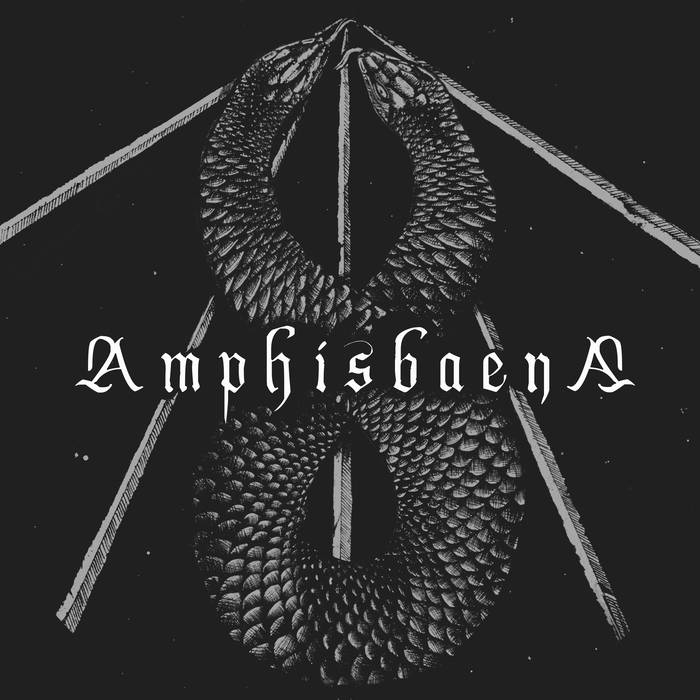 Amphisbaena - MMXVI - MLP