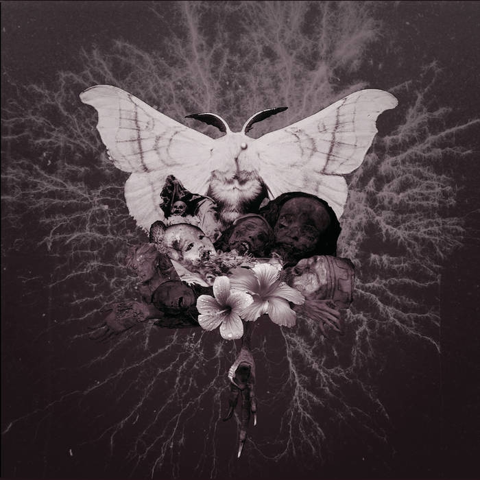 Celestial Grave - Pvtrefactio - EP