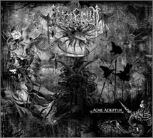 Lucifugum - Acme Adeptum - DigiCD