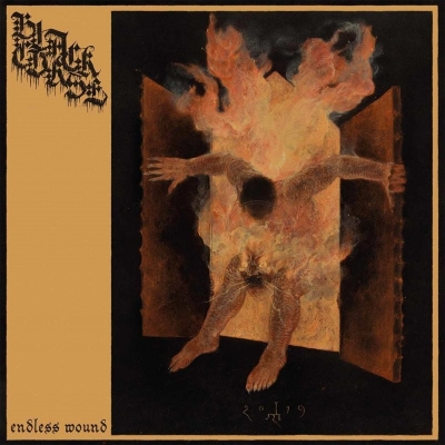 Black Curse - Endless Wound - Digipak CD
