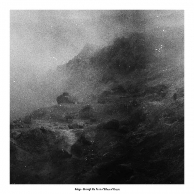 Kringa - Through The Flesh Of Ethereal Wombs - 10 MLP