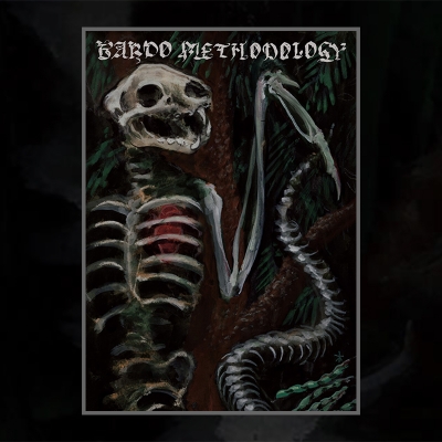 Bardo Methodology #4