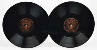 Druadan Forest - Dismal Spells from the Dragonrealm - Gatefold DLP