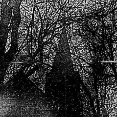 Old Castles - Sarcophagical Lament of the Past - LP
