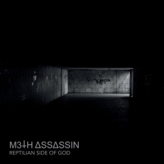 Meth Assassin - Reptilian Side of God - LP