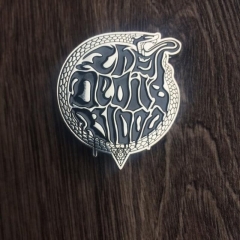 The Devils Blood - Logo - Pin