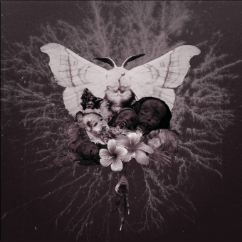 Celestial Grave - Pvtrefactio - EP